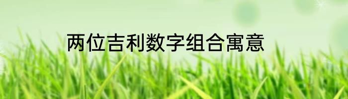 两位吉利数字组合寓意