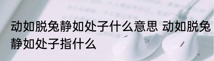 动如脱兔静如处子什么意思 动如脱兔静如处子指什么