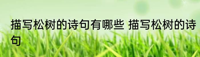 描写松树的诗句有哪些 描写松树的诗句