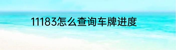 11183怎么查询车牌进度