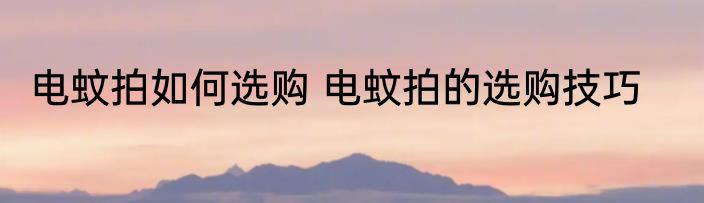 电蚊拍如何选购 电蚊拍的选购技巧