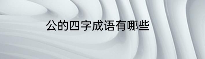 公的四字成语有哪些