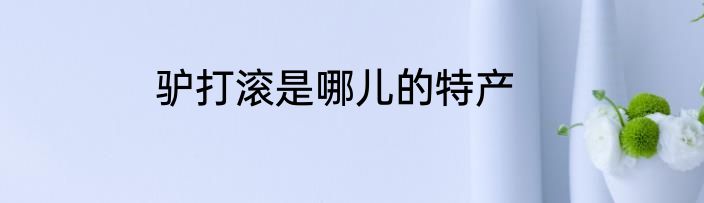 驴打滚是哪儿的特产