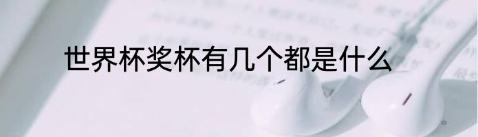 世界杯奖杯有几个都是什么