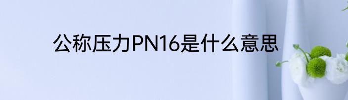 公称压力PN16是什么意思