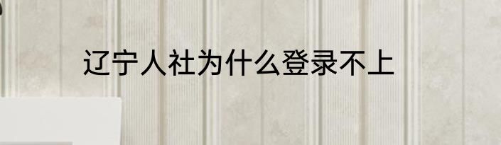 辽宁人社为什么登录不上
