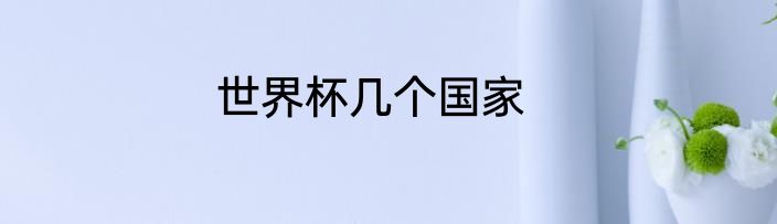 世界杯几个国家