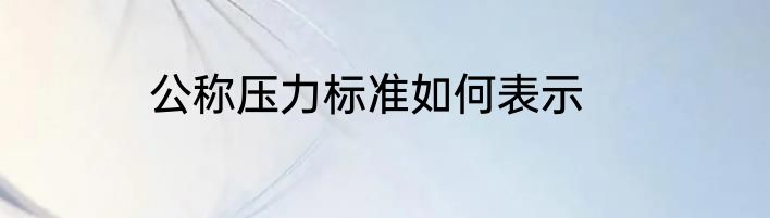 公称压力标准如何表示