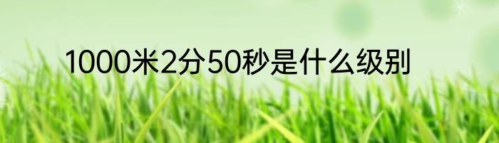 1000米2分50秒是什么级别