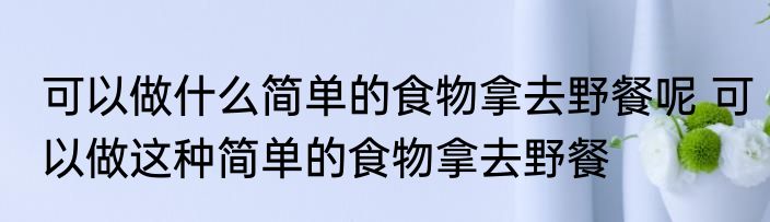 可以做什么简单的食物拿去野餐呢 可以做这种简单的食物拿去野餐