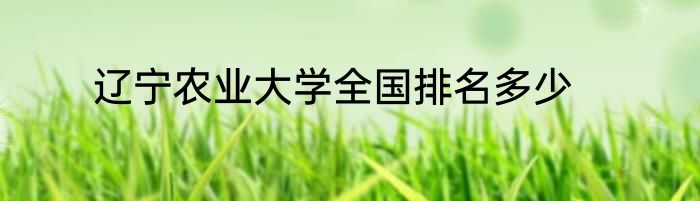 辽宁农业大学全国排名多少