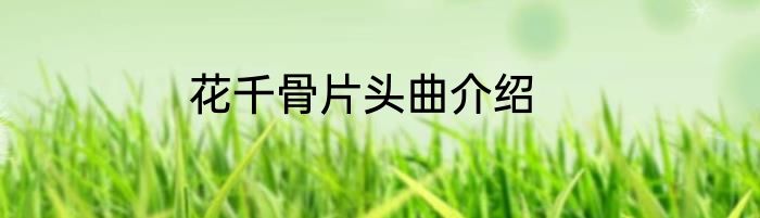 花千骨片头曲介绍