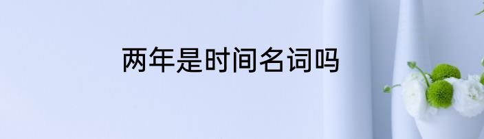 两年是时间名词吗