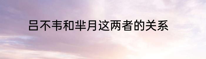 吕不韦和芈月这两者的关系