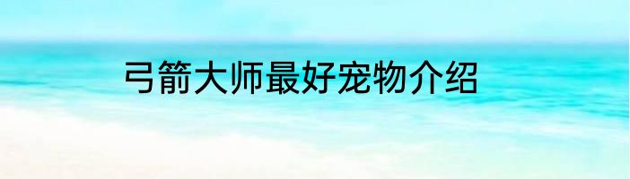 弓箭大师最好宠物介绍