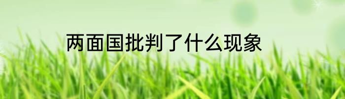 两面国批判了什么现象