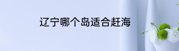 辽宁哪个岛适合赶海