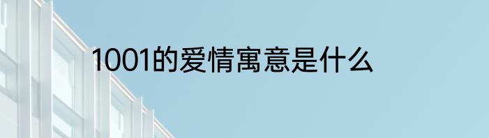 1001的爱情寓意是什么