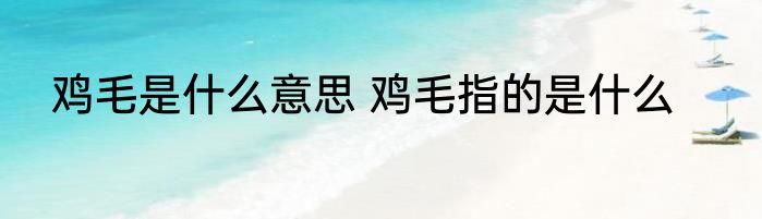 鸡毛是什么意思 鸡毛指的是什么