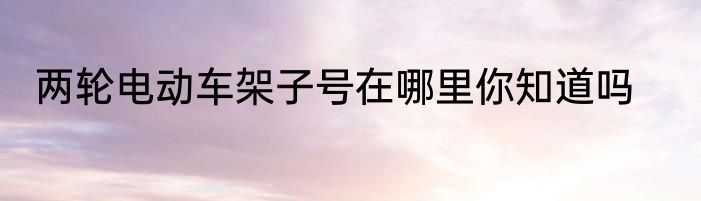 两轮电动车架子号在哪里你知道吗
