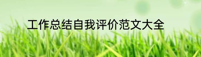 工作总结自我评价范文大全