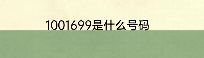 1001699是什么号码