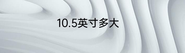 10.5英寸多大