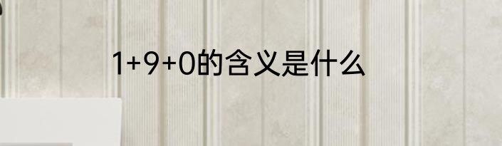 1+9+0的含义是什么