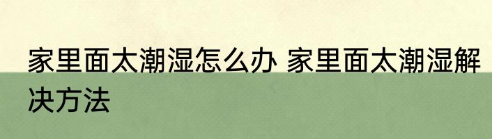 家里面太潮湿怎么办 家里面太潮湿解决方法