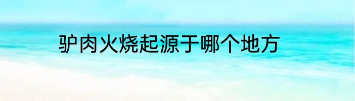 驴肉火烧起源于哪个地方