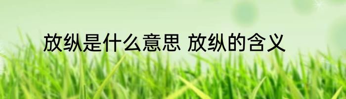放纵是什么意思 放纵的含义