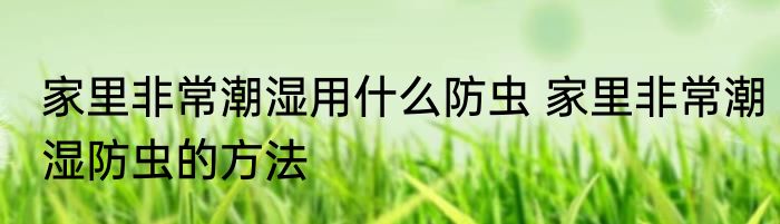 家里非常潮湿用什么防虫 家里非常潮湿防虫的方法