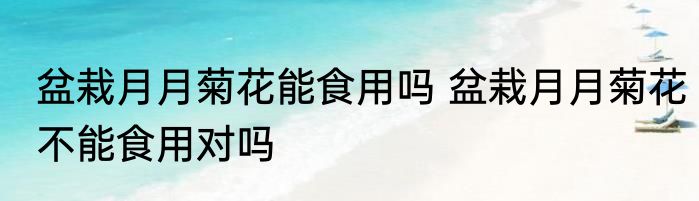 盆栽月月菊花能食用吗 盆栽月月菊花不能食用对吗
