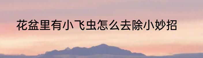 花盆里有小飞虫怎么去除小妙招