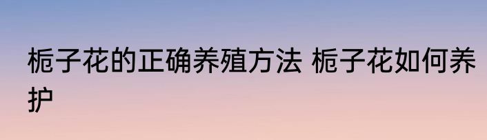 栀子花的正确养殖方法 栀子花如何养护