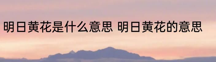 明日黄花是什么意思 明日黄花的意思