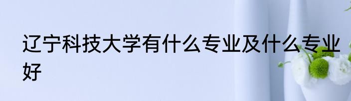 辽宁科技大学有什么专业及什么专业好