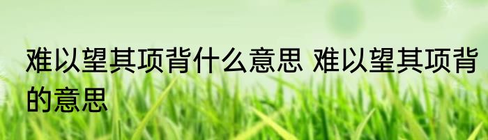难以望其项背什么意思 难以望其项背的意思