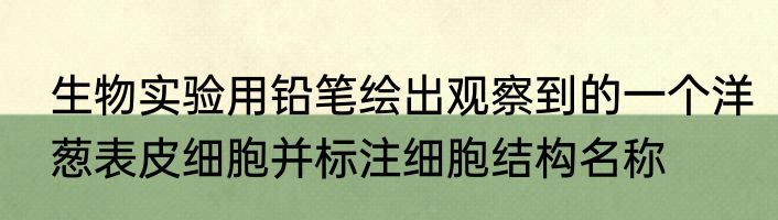 生物实验用铅笔绘出观察到的一个洋葱表皮细胞并标注细胞结构名称