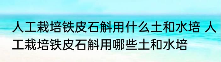 人工栽培铁皮石斛用什么土和水培 人工栽培铁皮石斛用哪些土和水培