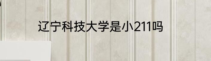 辽宁科技大学是小211吗