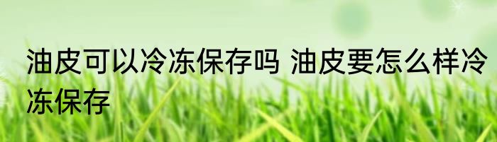 油皮可以冷冻保存吗 油皮要怎么样冷冻保存
