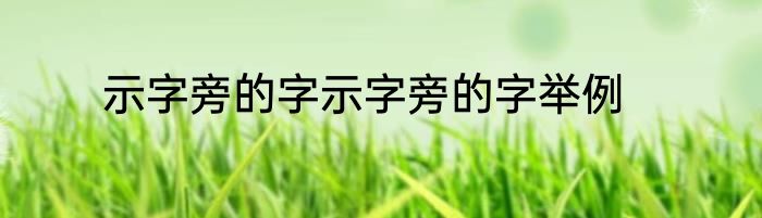 示字旁的字示字旁的字举例