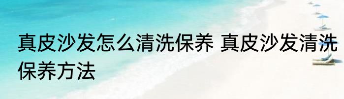 真皮沙发怎么清洗保养 真皮沙发清洗保养方法
