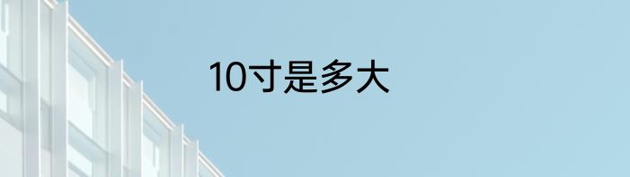 10寸是多大