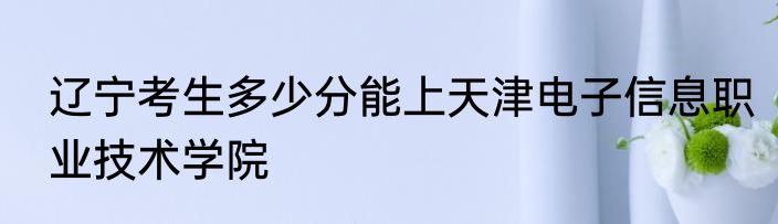 辽宁考生多少分能上天津电子信息职业技术学院
