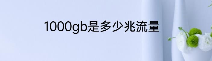 1000gb是多少兆流量