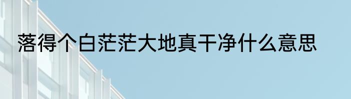 落得个白茫茫大地真干净什么意思