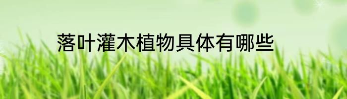 落叶灌木植物具体有哪些