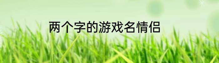 两个字的游戏名情侣
